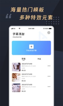 视频字幕制作大师